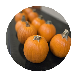 EDH - Pumpkin Painti EDH - Pumpkin Painti